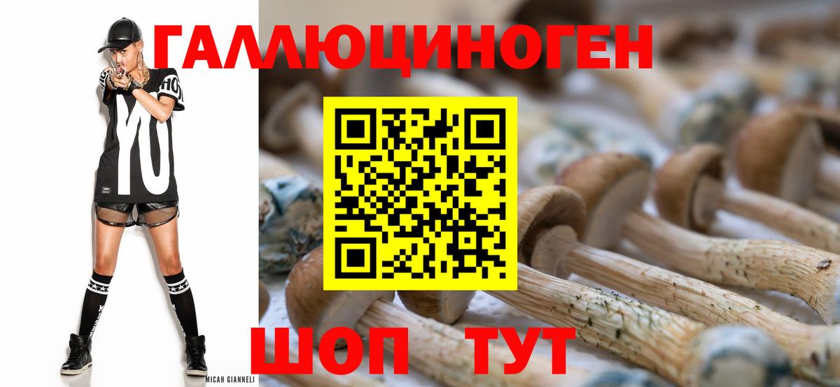 Псилоцибиновые грибы MAGIC MUSHROOMS Осинники