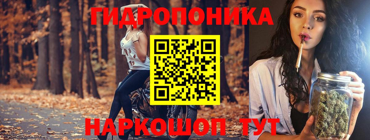 Канабис OG Kush Осинники